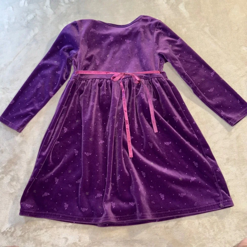 Disney Store Cinderella Purple Velour Dress Girls 4/5 Princess Velvet Y2K Floral